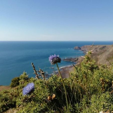 Kiberick Cottage At Crackington Haven, Near Bude And Boscastle, Cornwall المظهر الخارجي الصورة