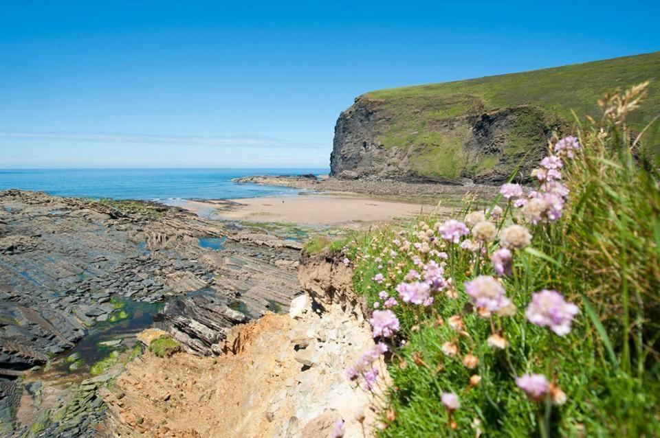 Kiberick Cottage At Crackington Haven, Near Bude And Boscastle, Cornwall المظهر الخارجي الصورة