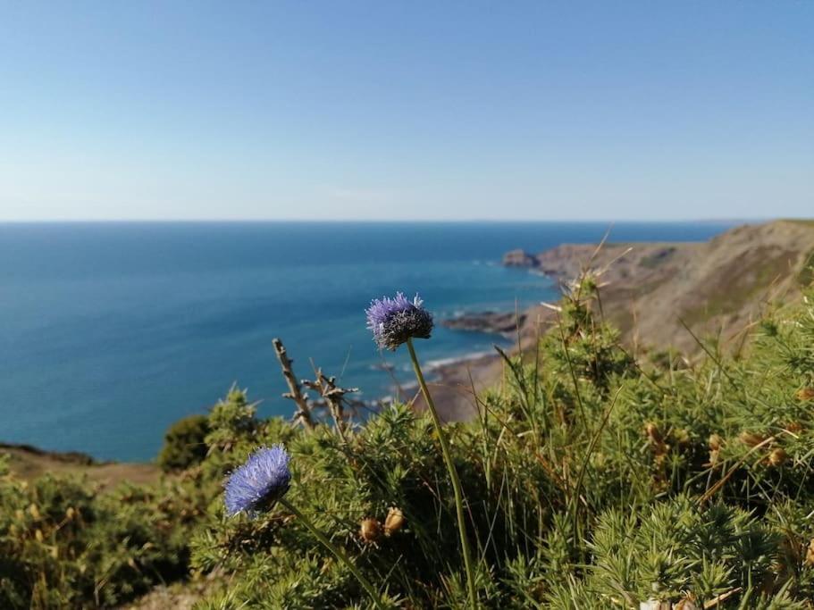 Kiberick Cottage At Crackington Haven, Near Bude And Boscastle, Cornwall المظهر الخارجي الصورة